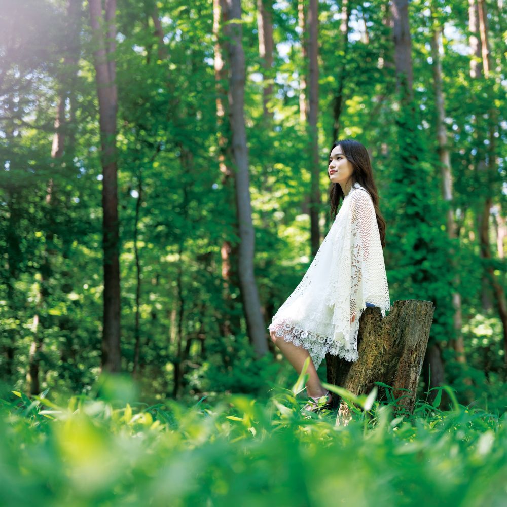 アワ歌再生リスト